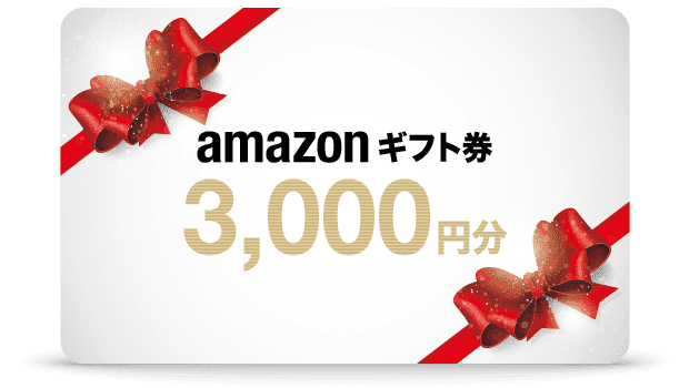 Amazonギフト券3,000円分